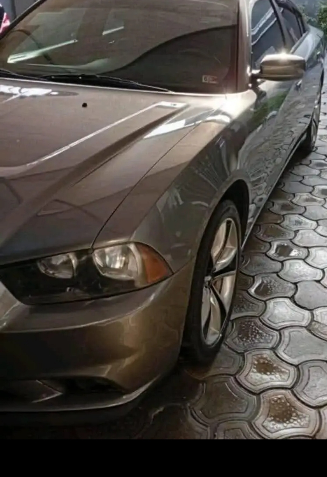 2015 Dodge Charger V6